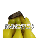 バナナの実写スタンプ（個別スタンプ：18）