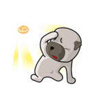 Oops dog（個別スタンプ：1）