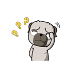 Oops dog（個別スタンプ：11）
