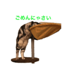 Nano's daily life（個別スタンプ：9）