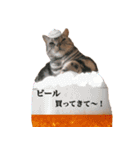 Nano's daily life（個別スタンプ：11）