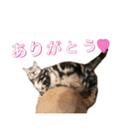Nano's daily life（個別スタンプ：12）