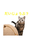 Nano's daily life（個別スタンプ：17）