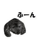 黒プードルの1日（個別スタンプ：33）