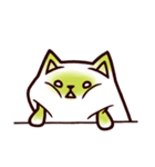 Tea Bag Cat（個別スタンプ：21）