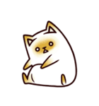 Tea Bag Cat（個別スタンプ：22）