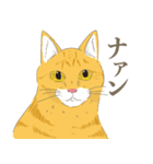 まいにち、らてきな！2（個別スタンプ：2）