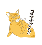まいにち、らてきな！2（個別スタンプ：8）