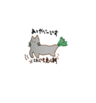 frog that mr.wrote（個別スタンプ：10）