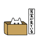 全国の【芳実】さんのためのスタンプ（個別スタンプ：34）