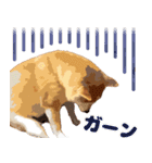 柴犬ちょび（個別スタンプ：5）