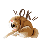 柴犬ちょび（個別スタンプ：7）