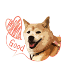 柴犬ちょび（個別スタンプ：8）