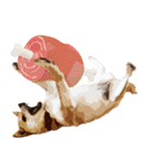 柴犬ちょび（個別スタンプ：9）