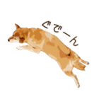 柴犬ちょび（個別スタンプ：11）
