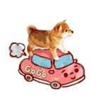 柴犬ちょび（個別スタンプ：14）