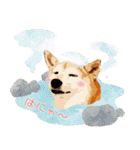 柴犬ちょび（個別スタンプ：21）