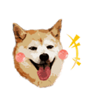 柴犬ちょび（個別スタンプ：22）