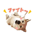 柴犬ちょび（個別スタンプ：24）