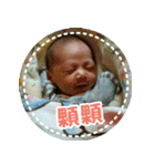 Little Pine Cone Baby Part2（個別スタンプ：25）