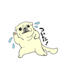 全力ペキニーズ2（個別スタンプ：6）