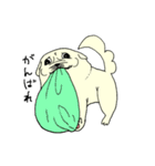 全力ペキニーズ2（個別スタンプ：8）