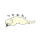全力ペキニーズ2（個別スタンプ：10）