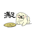 全力ペキニーズ2（個別スタンプ：13）