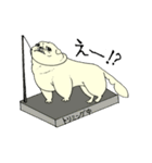 全力ペキニーズ2（個別スタンプ：18）