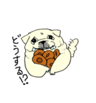 全力ペキニーズ2（個別スタンプ：20）