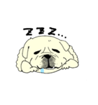 全力ペキニーズ2（個別スタンプ：31）