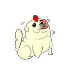 全力ペキニーズ2（個別スタンプ：38）