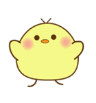 ぴよちゃん007（個別スタンプ：1）