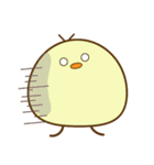 ぴよちゃん007（個別スタンプ：13）