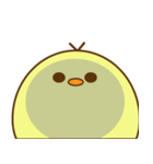 ぴよちゃん007（個別スタンプ：22）