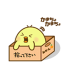 ぴよちゃん007（個別スタンプ：29）