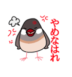 京都文鳥（個別スタンプ：5）