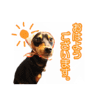 れいもも家族（個別スタンプ：1）