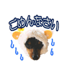 れいもも家族（個別スタンプ：3）