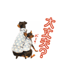 れいもも家族（個別スタンプ：11）