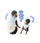 れいもも家族（個別スタンプ：20）