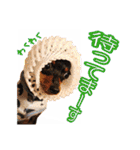 れいもも家族（個別スタンプ：21）