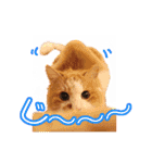 れいもも家族（個別スタンプ：22）