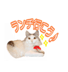 れいもも家族（個別スタンプ：26）