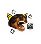 れいもも家族（個別スタンプ：29）