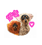 れいもも家族（個別スタンプ：36）