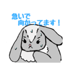 うさいぬさん（個別スタンプ：4）