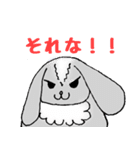 うさいぬさん（個別スタンプ：24）