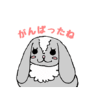 うさいぬさん（個別スタンプ：25）
