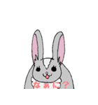 うさいぬさん（個別スタンプ：37）